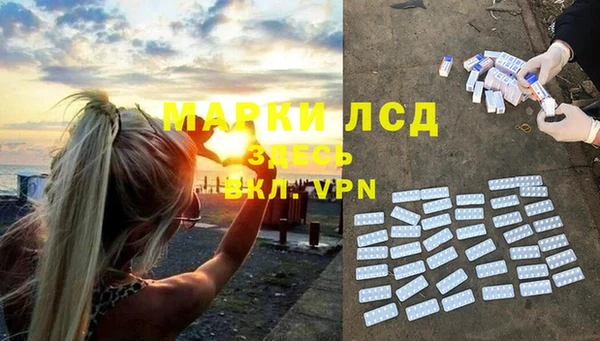 гидропоника Алзамай