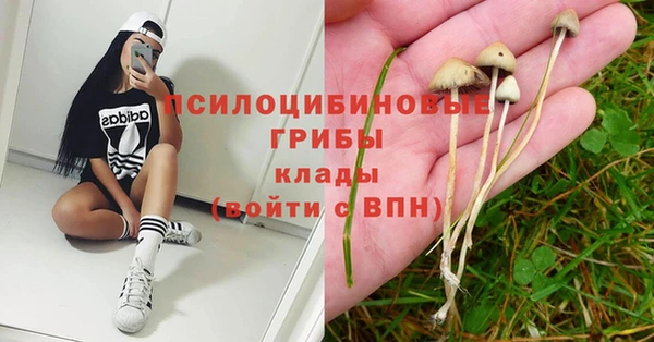 гидропоника Алзамай