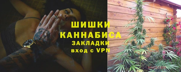 гидропоника Алзамай