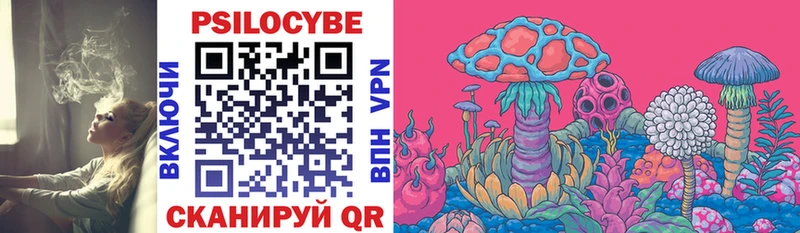 хочу   Алексеевка  Псилоцибиновые грибы Psilocybe 