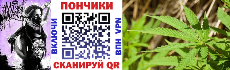 Шишки марихуана план  где купить   Алексеевка 